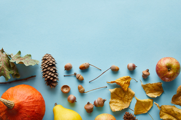 ripe whole colorful pumpkins and autumnal decor on blue background with copy space - 写真・画像