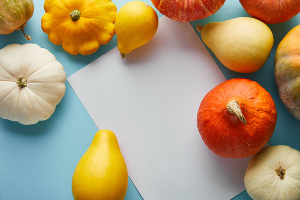 ripe whole colorful pumpkins on blue background with white blank paper - Fotografie, Obrázek