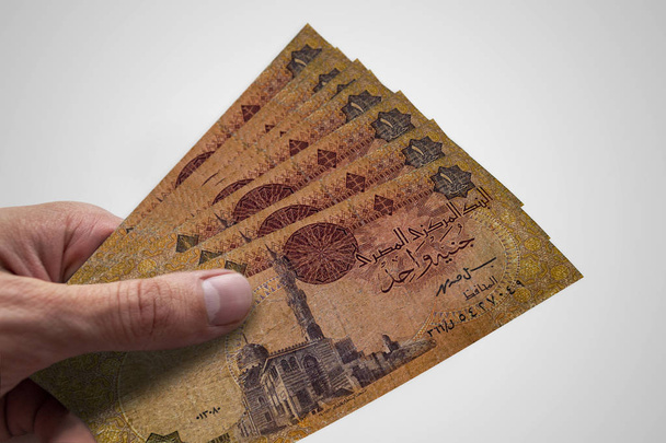 Mano sosteniendo libras egipcias. EGP. Moneda de Egipto
. - Foto, imagen