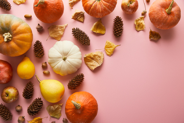 ripe whole colorful pumpkins and autumnal decor on pink background with copy space - 写真・画像