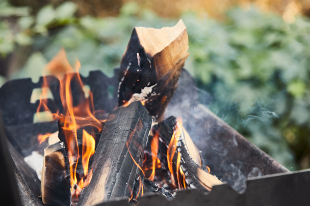 selective focus of firewood with fire flames in grill - Photo, Image
