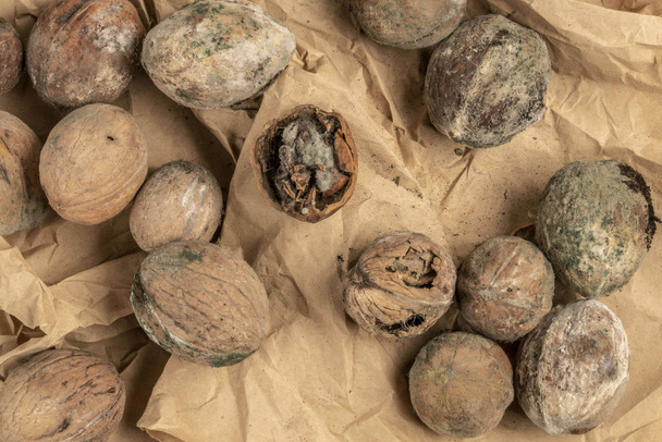 mouldy unpleasant walnuts as a background - Fotó, kép