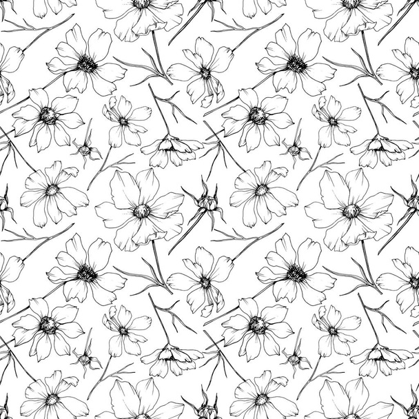 Vector Cosmos flores botánicas florales. Tinta grabada en blanco y negro. Patrón de fondo sin costuras
. - Vector, Imagen