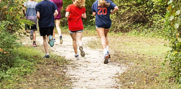Zadní pohled na skupinu středoškolských běžci na pěšině v lese - Fotografie, Obrázek