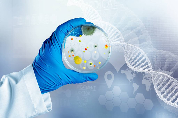 Scientists's hand holding Petri dish with bacteria - Фото, зображення