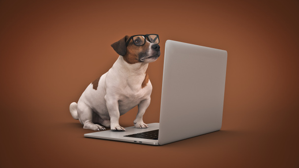 ノートパソコンを使ったビジネスコンセプトのペット犬。3Dレンダリング - 写真・画像