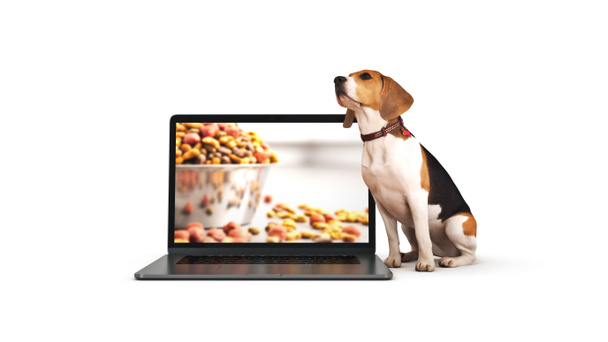 ノートパソコンを使ったビジネスコンセプトのペット犬。3Dレンダリング - 写真・画像