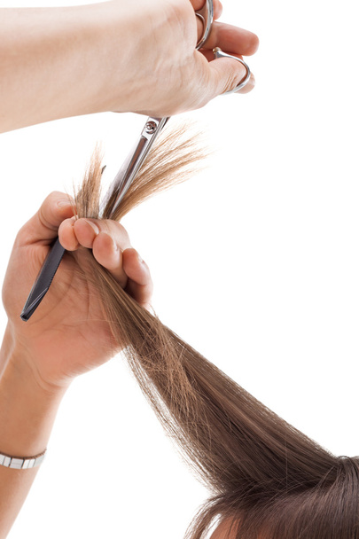 cabeleireiro profissional com modelo de cabelo longo - Foto, Imagem