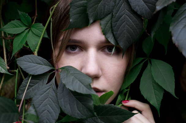 schönes Mädchen in grünen Blättern, Porträt einer attraktiven Frau in Pflanzen, niedliches Gesicht auf einem vegetativen Hintergrund, Nahaufnahme - Foto, Bild