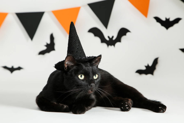 Black cat with paper bats and flags on white background - Photo, Image