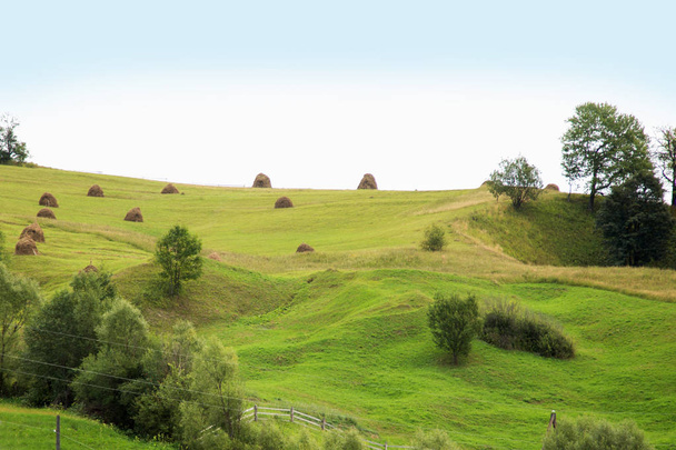 干し草の山を持つ緑の丘。絵のように美しい田舎の風景。カルパチア山脈, ウクライナ. - 写真・画像