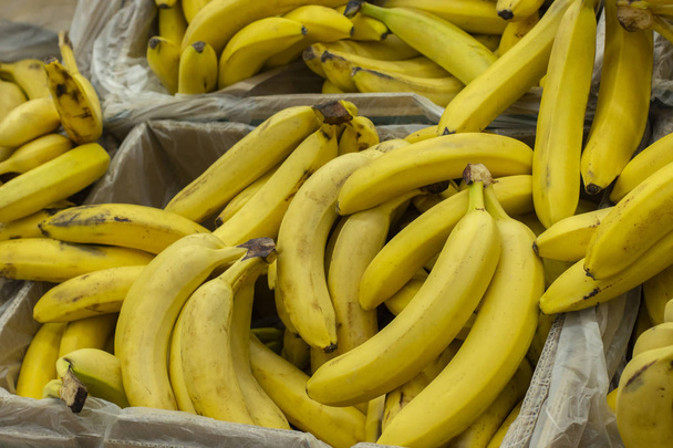 Žluté banány v krabicích v supermarketu. Exotické ovoce v supermarketu, banda banánů - Fotografie, Obrázek