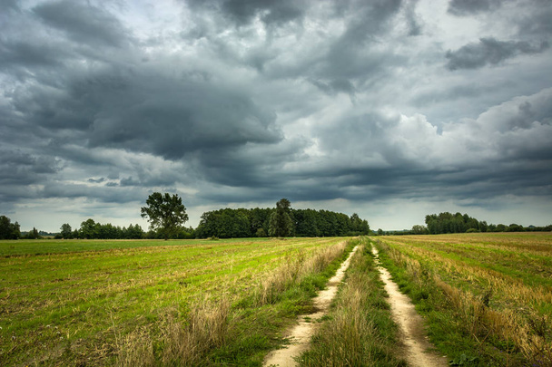 Rural road through fields, trees and clouds on the sky - Zdjęcie, obraz