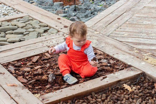 A menina pequena em um terno vermelho estuda solavancos de materiais naturais, latido, pedras, cones de pinheiro. Criança branca senta-se no chão
. - Foto, Imagem