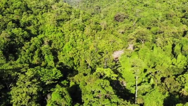 Tepelerdeki yeşil orman. Koh Samui Adası'nda engebeli arazide yetişen tropikal ağaçlar. Dağlar arasında şelale yolu drone görünümü. Asya'da yağmur ormanları manzarası. Çevre koruma kavramı - Video, Çekim