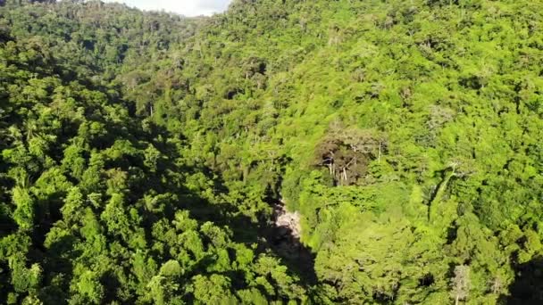 Tepelerdeki yeşil orman. Koh Samui Adası'nda engebeli arazide yetişen tropikal ağaçlar. Dağlar arasında şelale yolu drone görünümü. Asya'da yağmur ormanları manzarası. Çevre koruma kavramı - Video, Çekim