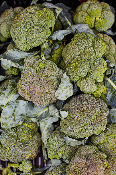 Broccoli op de boerenmarkt. Broccoli achtergrond. - Foto, afbeelding