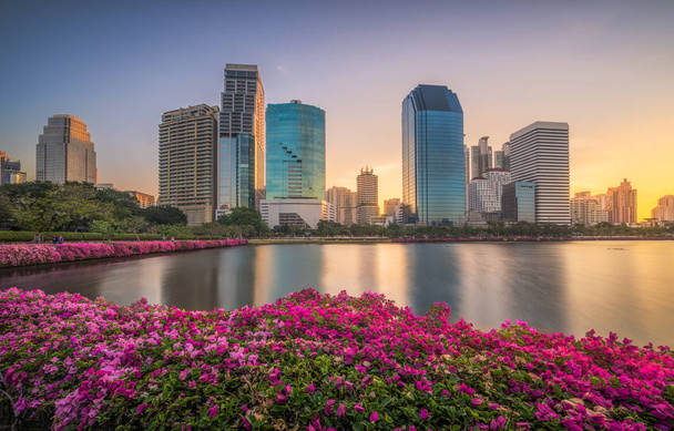 Lake with Purple Flowers in City Park under Skyscrapers at Sunri - Photo, Image