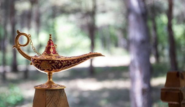 Antique artisanal Aladdin Arabian nights genie style oil lamp at the forest. Lamp of wishes fantasy concept - Photo, Image