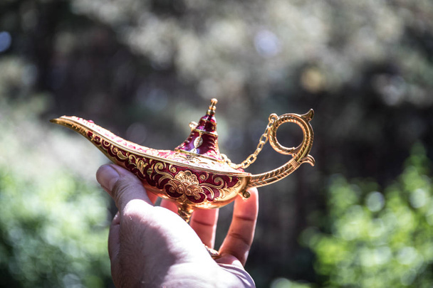 Antigo artesanal Aladdin Arabian noites genie estilo lâmpada de óleo na floresta. Lâmpada de desejos conceito de fantasia
 - Foto, Imagem