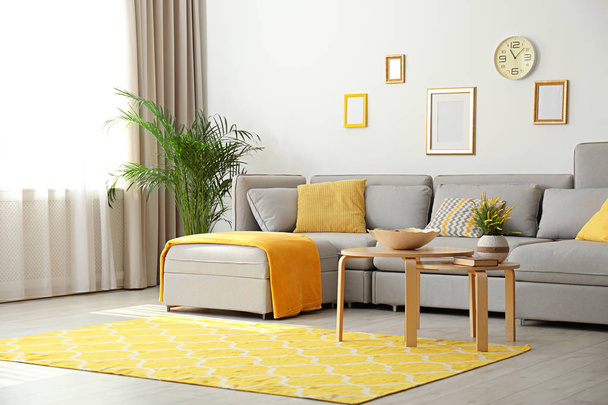 Stylish living room interior with comfortable grey couch - Valokuva, kuva