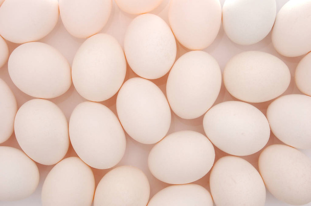 vejce izolované na bílém pozadí - Fotografie, Obrázek