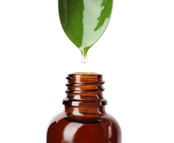 Essential oil drop falling from green leaf into glass bottle on white background, closeup - Fotó, kép