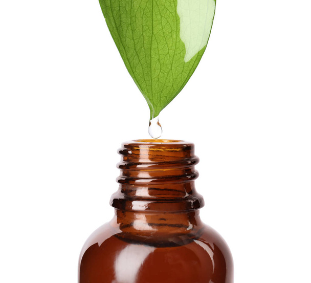 Gota de aceite esencial que cae de la hoja verde en una botella de vidrio sobre fondo blanco, primer plano
 - Foto, imagen