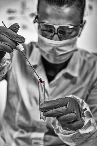 Esperto di scienze forensi che raccoglie DNA dalla macchia di sangue
 - Foto, immagini