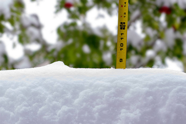 9フィートの定規で雪の深さを測定 - 写真・画像
