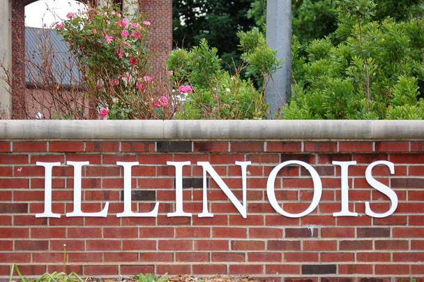 Illinois palavra na parede, close-up
  - Foto, Imagem