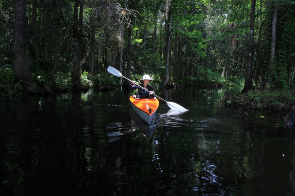 Kayakista femenina en Fisheating Creek, Florida
. - Foto, imagen