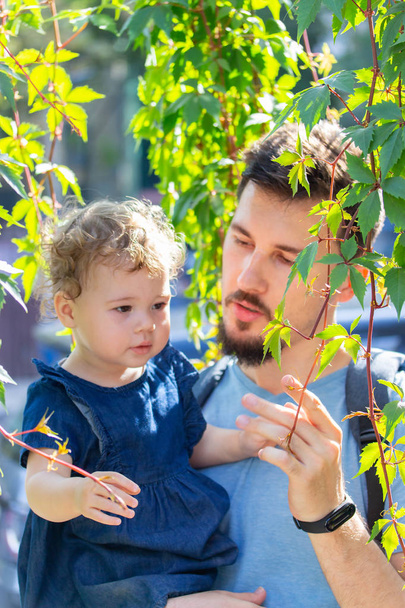 Padre joven con una hija, enfoque selectivo. Foco suave. Retrato de una familia joven entre lianas colgantes plantas verdes, verticales
 - Foto, Imagen