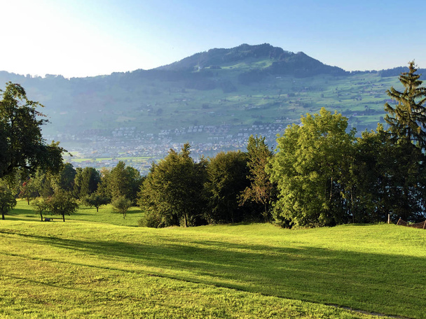 Альпійські пасовища і Трав'яна земля на схилах гори Буоцерхорн і на озері Люцерн або В'єдвальдстетерзее озеро (В'єрвальдстатзее), Буокс-Кантон Нідвальден, Швейцарія - Фото, зображення