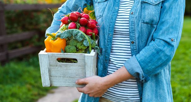 Молода 30-35 років красива жінка фермер в капелюсі з коробкою свіжих екологічних овочів на садовому фоні на заході сонця
. - Фото, зображення