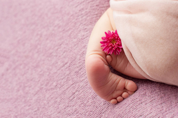 pies del bebé recién nacido con flor, dedos en el pie, cuidado materno, amor y abrazos familiares, ternura
  - Foto, Imagen