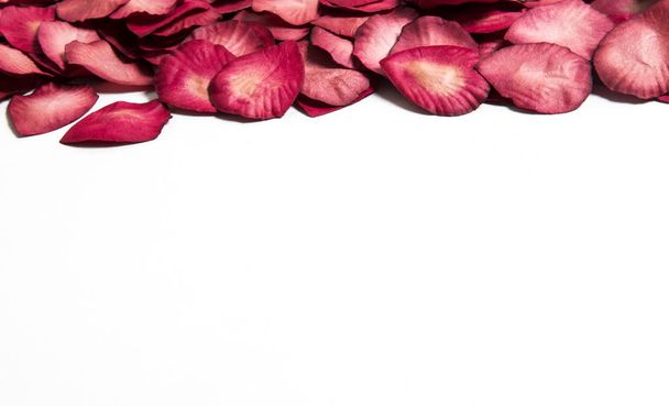 Red rose petals on a plain white background. Romantic valentines - Foto, imagen