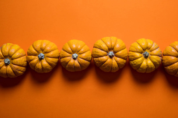 Small pumpkins on a bright orange backdrop. Halloween and thanks - Фото, зображення