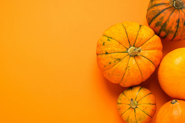 Fresh decorative pumpkin on an orange background. Thanksgiving Autumn Concept. Flat layout. Empty place for text - Фото, изображение