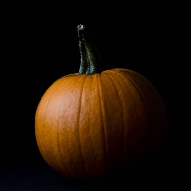 Autumn halloween pumpkin against a plain background - Foto, Imagen