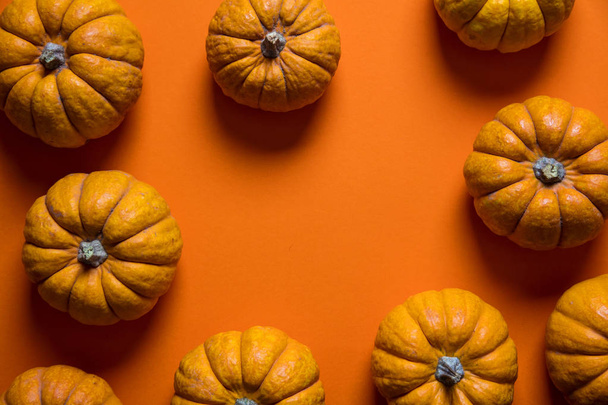 Small pumpkins on a bright orange backdrop. Halloween and thanks - Photo, image