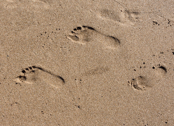 Passi sulla sabbia sulla spiaggia
 - Foto, immagini