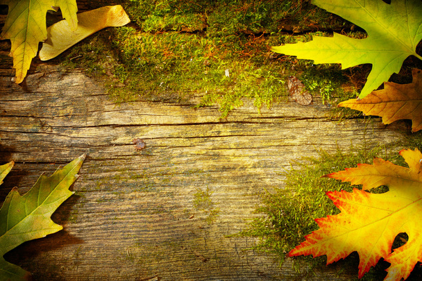 古い木製の背景に芸術の秋を葉します。 - 写真・画像
