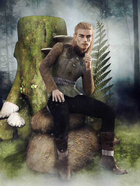 Elfo macho de fantasia sentado em uma rocha ao lado de um toco de árvore e cogumelos. Renderização 3D
. - Foto, Imagem