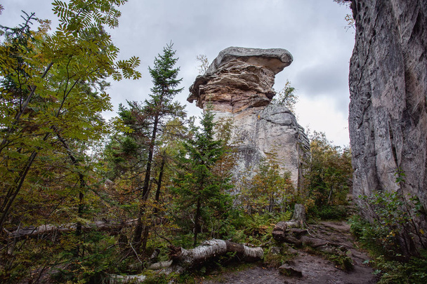 Autumn in the forest and rocks. outdoor recreation in the fall - Foto, Bild