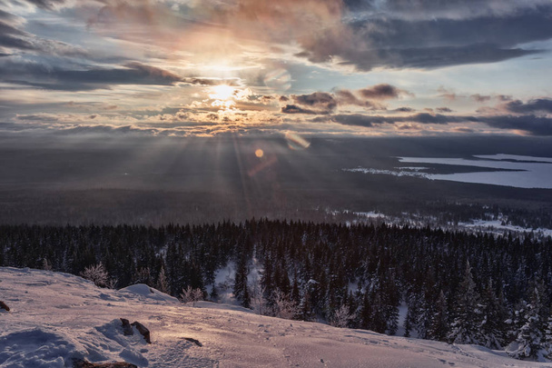 живописный вид на снежные горы с бесконечным хвойным лесом в солнечный день
 - Фото, изображение