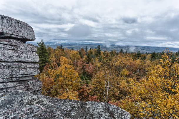 Autumn in the forest and rocks. outdoor recreation in the fall - Foto, imagen
