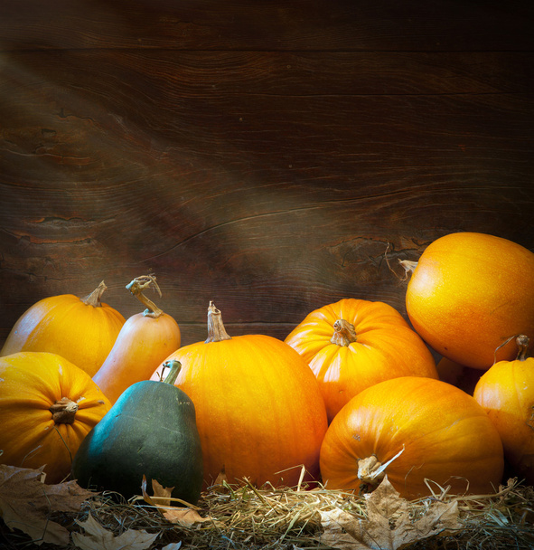 καλλιτεχνικό υπόβαθρο φθινόπωρο Ευχαριστιών κολοκύθας - Φωτογραφία, εικόνα