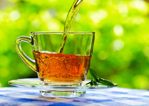 Cup of tea on nature background - Photo, Image