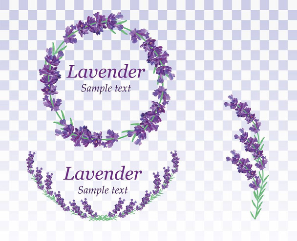 Collectie lavendelkrans geïsoleerd op transparante achtergrond. Bunch mooie violette bloemen.3D realistische lavendel met kopieerruimte voor uw tekst. Geurende lavendel. Prachtige vector illustratie. - Vector, afbeelding